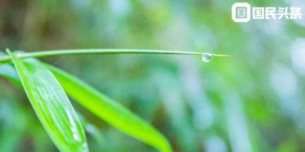 天气转暖温差大，雨水渐多湿度升，抓好健康“4味良方”~